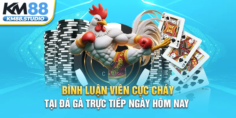 Bình luận viên cực cháy tại đá gà trực tiếp ngày hôm nay 