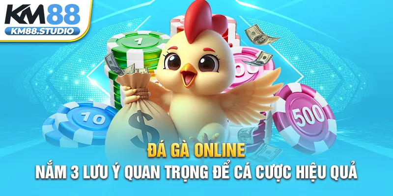 Đá Gà Online – Nắm 3 Lưu Ý Quan Trọng Để Cá Cược Hiệu Quả