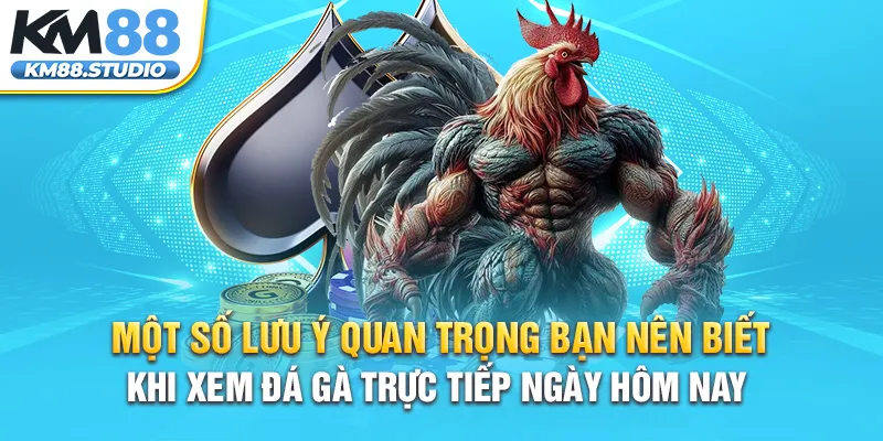 Một số lưu ý quan trọng bạn nên biết khi xem đá gà trực tiếp ngày hôm nay 